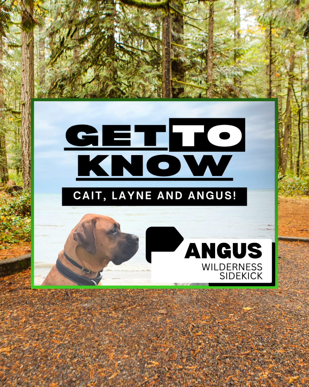 Get To Know –&nbsp;Angus