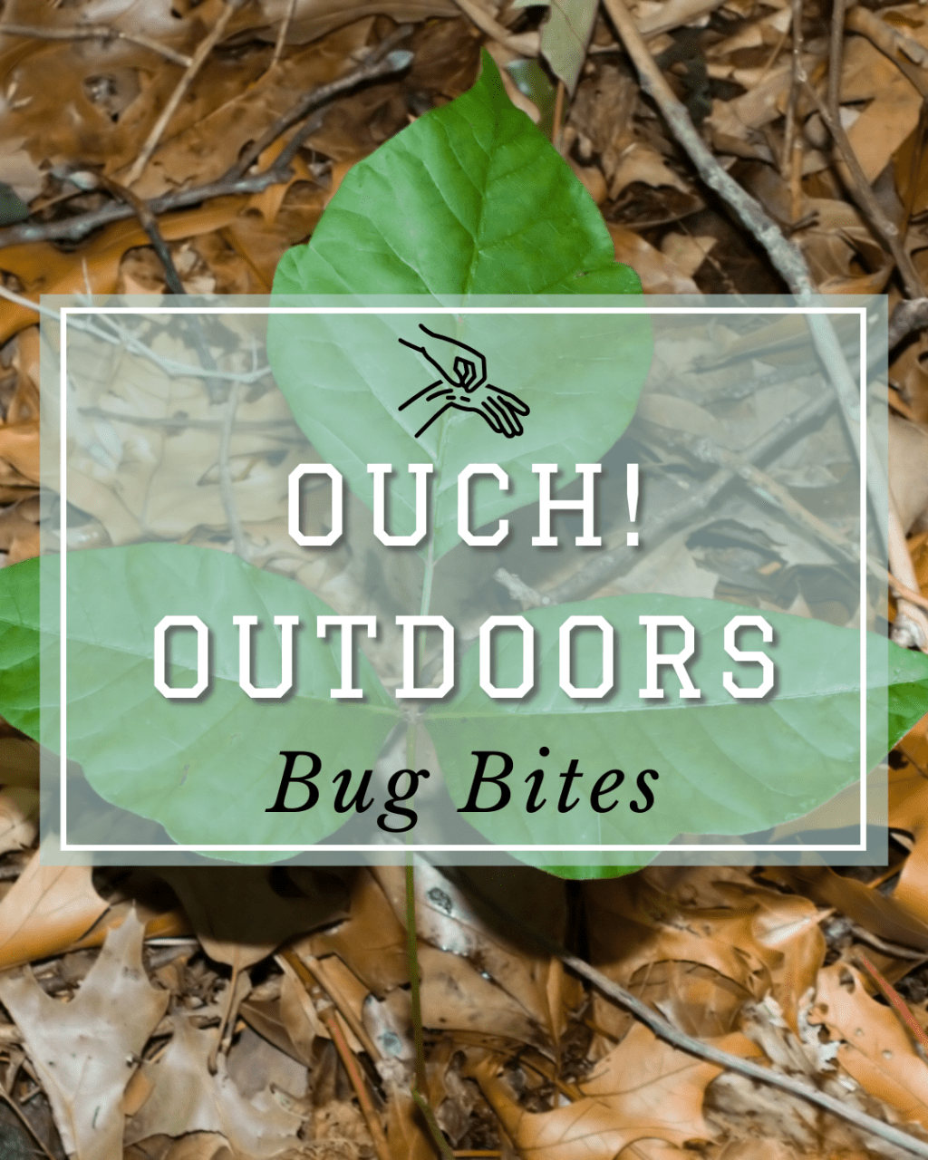 Bug Bites in Southern Ontario – What you need to&nbsp;know!